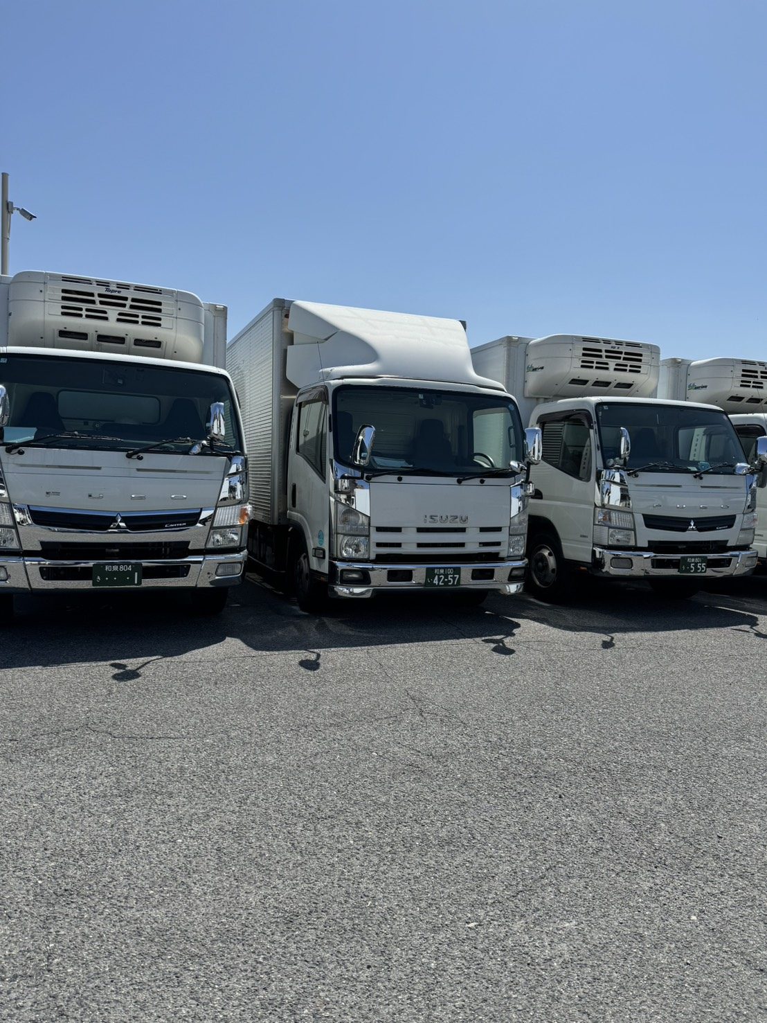 保有車両（側面）